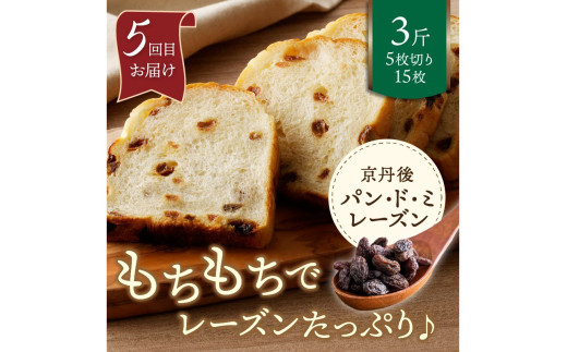 京都 丹後のおまかせ　お楽しみパン５カ月定期便　【訳あり】