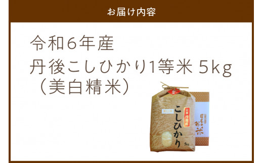 令和7年産 美白精米 丹後こしひかり 5kg 1等米