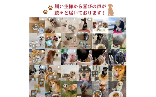 <大型犬用>3種セット