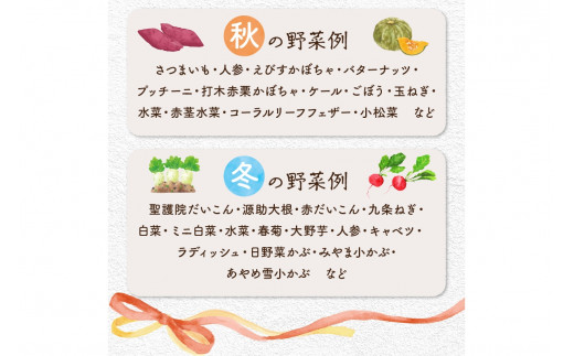 【年4回定期便】春夏秋冬自然栽培野菜セット(年4回)2～3人用