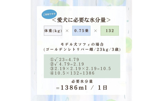 [無添加ウェットドッグフード] 国産鹿スープ (5パック)