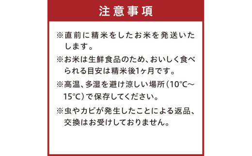 令和8年産 特別栽培米コシヒカリ 蔵人（くらんど） 精米3kg