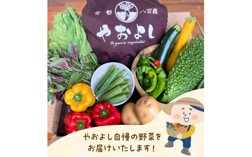 【定期便】合計12回お届け　有機野菜・京野菜の『京都やおよし』のお野菜詰め合わせ