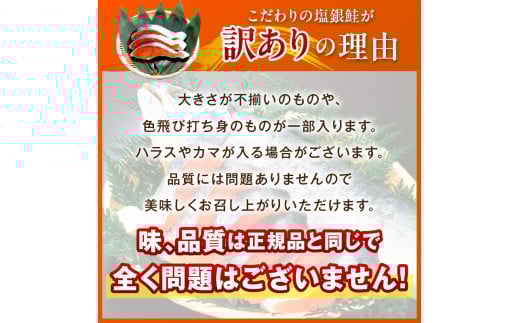 お手軽！絶品！厚切り　塩銀鮭切身 約1kg（プロトン凍結　訳あり　不揃い）
