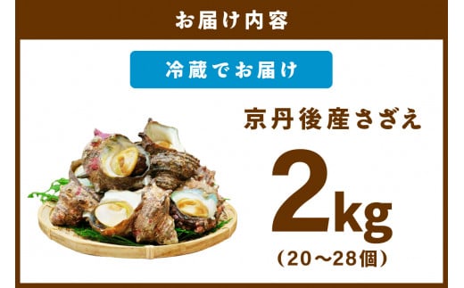最高鮮度の生きたまま発送！日本海荒波育ち京丹後産さざえ2kg/北畿水産 貝類 魚介類 さざえ サザエ 京丹後産 活サザエ お刺身 刺身 さしみ 美味しい 壺焼きふるさと納税 さざえ ふるさと納税 活さざえ ふるさと納税 さざえ　HK00271