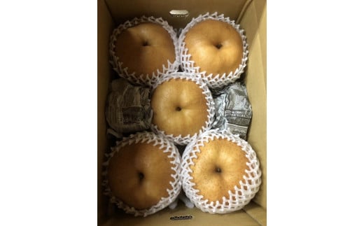 【先行予約／数量限定100】【訳あり】愛宕梨 優品 5kg（5～12玉入り）（2026年11月下旬～発送）国産 あたご梨 5〜12 個  梨 なし 期間限定 ふるさと 納税 訳あり 規格外 フルーツ くだもの 果物 傷 農家直送 ふるさと納税 梨 訳あり