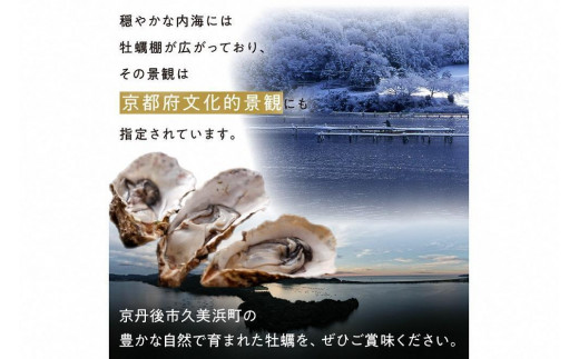 京都・久美浜産　殻付き牡蠣　5kg（50個前後）【加熱用】牡蠣ナイフ付　人気 国産 正規品 大粒 肉厚 養殖牡蠣 牡蠣 牡蛎 かき 海鮮 貝 海のミルク 殻付き