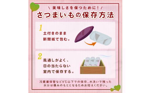 ＜てんとうむしばたけ＞有機さつまいも(紅はるか)5kg　有機野菜 さつま芋 サツマイモ 薩摩芋 ふるさと納税 野菜 イモ 期間限定 紅はるか 甘い 貯蔵 熟成 オーガニック ねっとり あまい焼き芋 国産 ほくほく 土付き 旬 秋 京都産
