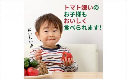 【先行予約】やりすぎトマト（4パック計約1kg）（夏季）（2026年6月上旬以降発送）