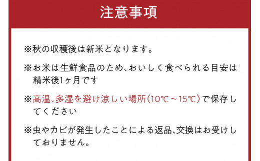 2026年産 京都・久美浜三谷産 丹後コシヒカリ「三谷幸米」 玄米 20kg ふるさと納税 コシヒカリ 新米 令和8年産 ふるさと納税 玄米