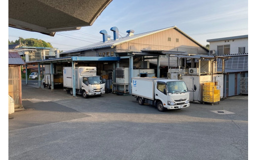 ヒラヤミルクアイス6個セット