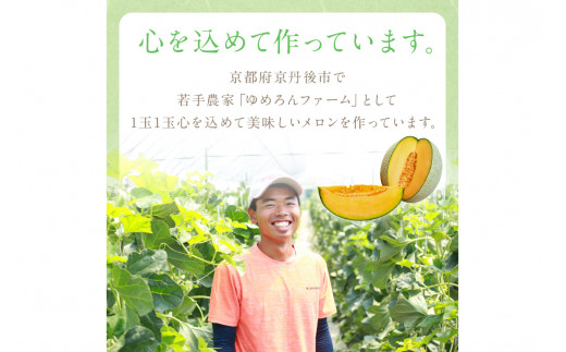 【先行予約／数量限定100】ゆめろんファームの赤肉メロン（2026年6月上旬～発送）