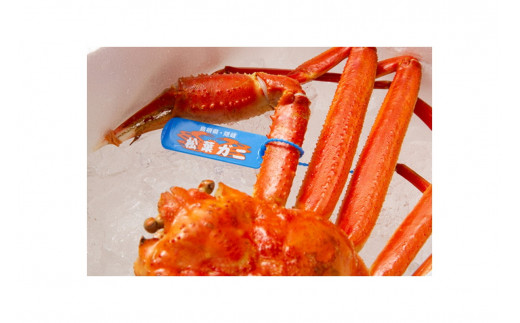 【先行予約】【厳選！タグ付きブランド蟹】茹で松葉かに（600g級×2杯）（2026年1月～発送）