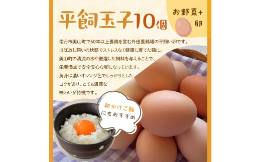 有機野菜・京野菜の『京都やおよし』のお野菜＆平飼玉子10個の詰め合わせ