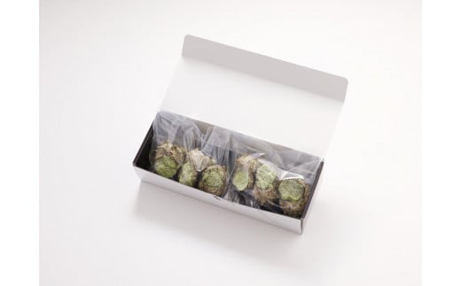 繧オ繧カ繧ィ縺ョ繝悶Ν繧エ繝シ繝九Η鬚ィ(6蛟句・繧)