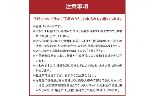 【先行予約／数量限定200】京都・まつみやファームのいちご（あきひめイチゴ）4パック（2026年3月中旬～発送）