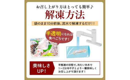 日本海産『海の京都』の逸品！！　活白イカ姿造り（クリスタル白いか）中大サイズ 2杯（250g前後）（2027年6月上旬～発送） ふるさと納税 海鮮 鮮度抜群 新鮮 海鮮 いか イカ 簡単調理 生産者応援 送料無料 生食 魚介類 活イカ