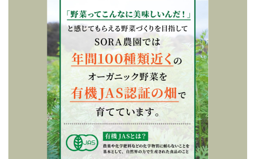SORA農園有機野菜セット年2回（夏季・冬季）お届け 12種類前後 オーガニック野菜 詰め合わせ 栽培期間中農薬不使用 ふるさと納税 オーガニック ふるさと納税 有機野菜