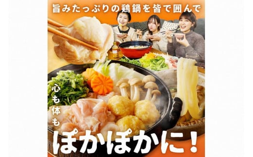 京都・京丹後の若鶏と九条ネギの韓国風鶏鍋セット（パーティー用セット）