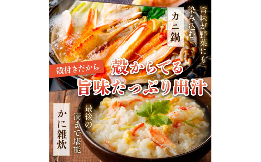 【訳あり！カニ酢付】急速冷凍 ボイル済み 本ズワイガニ 2Lサイズ4肩　蟹・カニ・かに・ボイルカニ・ボイルズワイガニ・訳あり かに