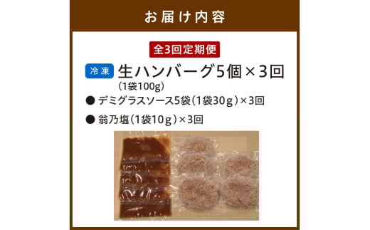<定期便・隔月3回>塩で食べるやわらかハンバーグ（デミグラスソース付）