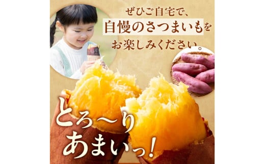 さつまいもオブザイヤー紅はるか部門全国1位 京都・ 丹後産　さつまいも 紅はるか　土付き（1本120～450g程度）10kg