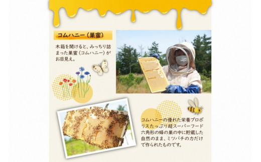 KYOTOTANGOHONEY森の百花蜜純粋天然ハチミツ（巣蜜入り純粋天然ハチミツ１５０ｇ、純粋天然ハチミツ１５０ｇセット）　蜂蜜・はちみつ・国産・天然・ハチミツ・巣みつ・巣密・純粋はちみつ