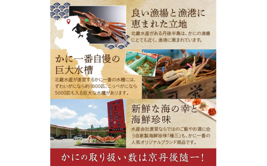 【かに鍋セット自家製鍋だし付き】超特大ずわいがに ５Ｌサイズで圧巻の食べ応え／北畿水産