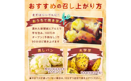 ＜てんとうむしばたけ＞有機さつまいも(紅はるか)5kg　有機野菜 さつま芋 サツマイモ 薩摩芋 ふるさと納税 野菜 イモ 期間限定 紅はるか 甘い 貯蔵 熟成 オーガニック ねっとり あまい焼き芋 国産 ほくほく 土付き 旬 秋 京都産