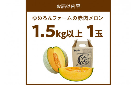 【先行予約／数量限定100】ゆめろんファームの赤肉メロン（2026年6月上旬～発送）