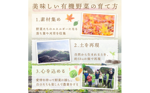 【先行予約：11月配送】＜てんとうむしばたけ＞冬のオーガニック野菜セット　有機野菜6～7種前後
