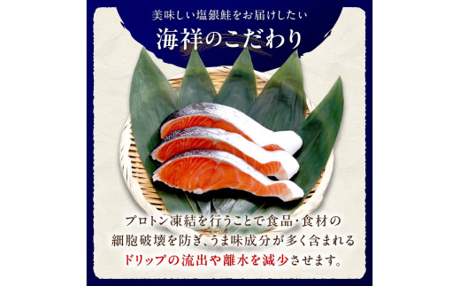 お手軽！絶品！厚切り　塩銀鮭切身 約1kg（プロトン凍結　訳あり　不揃い）