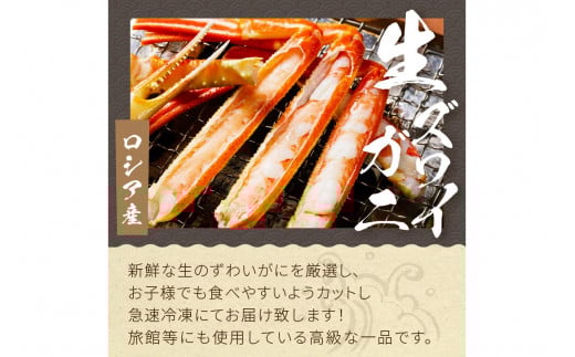 【先行予約】大満足！京丹後・海鮮BBQ　Cセット　贅沢生ズワイガニ付き　4種11品（3～4人前）（2026年4月中旬～発送）　YK00554