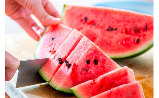 【先行予約】朝どれ小玉スイカ／みんな大好き！甘～ぃ！シャリ美味！！京丹後産 小玉スイカ！！2玉（ひとりじめ、姫甘泉、ひめまくら、砂丘たまごから1種類）（2026年7月上旬～発送）スイカ2玉