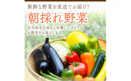 直売所直送 「京都・京丹後産 季節の野菜」お任せ詰め合わせBOX（5品） 春夏秋冬定期便4回 コシヒカリ精米 京野菜 季節 新鮮 ふるさと納税 野菜