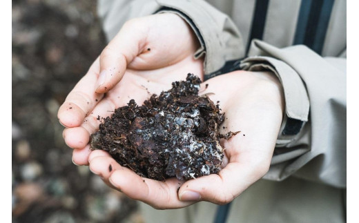 ＜てんとうむしばたけ＞オーガニック野菜セット　有機野菜6～7種(2人用)