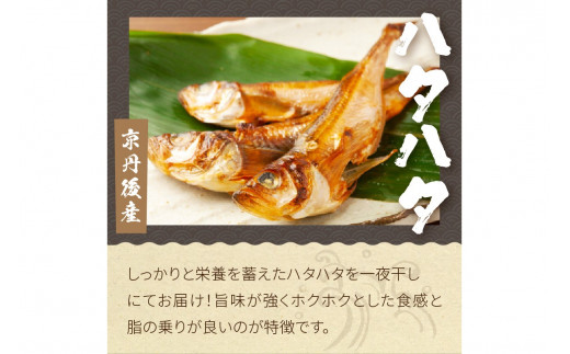 【先行予約】大満足！京丹後・海鮮BBQ　Dセット　贅沢アワビ付　6種22品（4～5人前）（2026年4月中旬～発送）