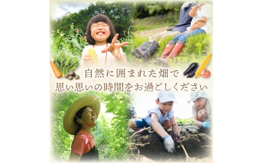 オーガニックファームでのんびり過ごそう！収穫体験&お土産付き(2名様分)