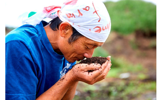 【先行予約：8月配送】＜てんとうむしばたけ＞夏のオーガニック野菜セット　有機野菜6～7種前後