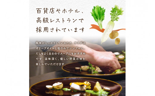 【数量限定】自然栽培野菜セット（陽だまり）