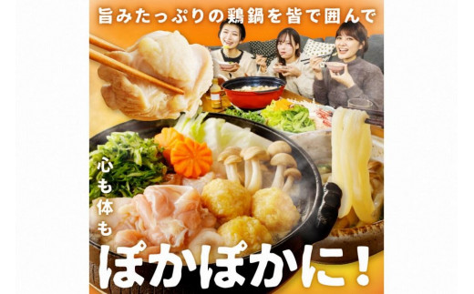 京都・京丹後の若鶏と九条ネギの鶏鍋セット（1～2人前）