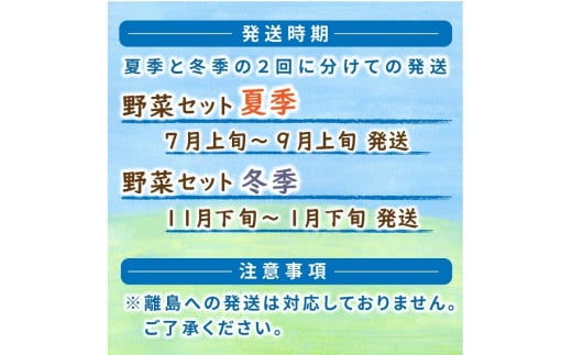 SORA農園有機野菜セット年2回（夏季・冬季）お届け 12種類前後 オーガニック野菜 詰め合わせ 栽培期間中農薬不使用 ふるさと納税 オーガニック ふるさと納税 有機野菜