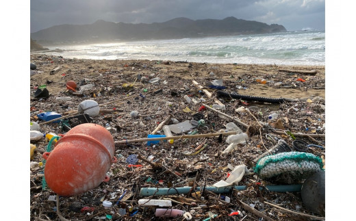 Precious Plastic カラビナキーホルダー ペアセット