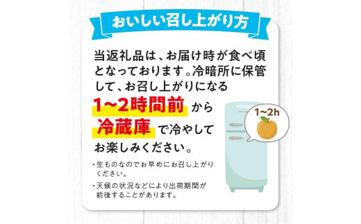 【先行予約／数量限定50】新興梨 秀品 5kg（8～16玉入り）（2026年10月上旬～発送）