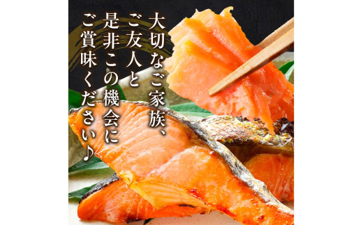 お手軽！絶品！厚切り　塩銀鮭切身 約1kg（プロトン凍結　訳あり　不揃い）