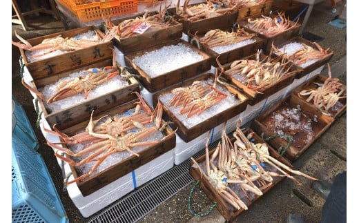 ãå³éžïŒïŒã¿ã°ä»ããã©ã³ããè¹ã§æŸèã㫠鮮床æçŸ€ãéè¹ã§ã«ãŠãå±ãïŒïŒ 800gçŽÃ3æ¯