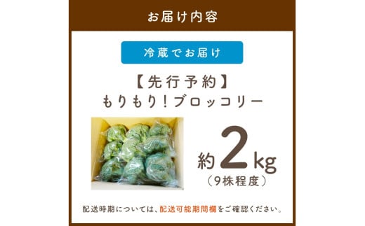 【先行予約】もりもり！ブロッコリー 約2kg（2026年11月上旬～発送）
