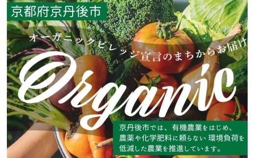 SORA農園有機野菜セット年2回（夏季・冬季）お届け 12種類前後 オーガニック野菜 詰め合わせ 栽培期間中農薬不使用 ふるさと納税 オーガニック ふるさと納税 有機野菜
