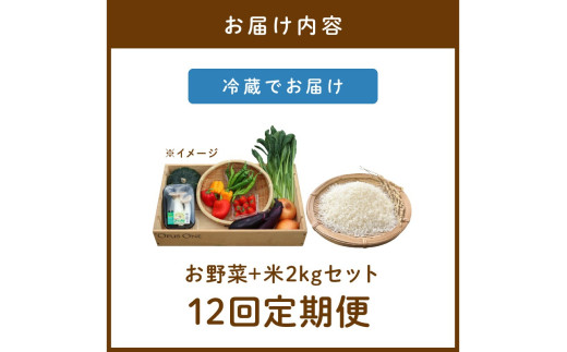【定期便】合計12回お届け　有機野菜・京野菜の『京都やおよし』のお野菜と米2kgの詰め合わせ