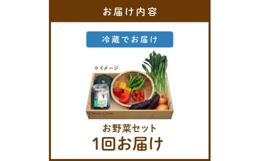 有機野菜・京野菜の『京都やおよし』のお野菜詰め合わせ セット 野菜 お野菜 京野菜 詰め合わせ ふるさと納税 野菜